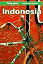 INDONESIA GUÍA LONELY PLANET (USADO)