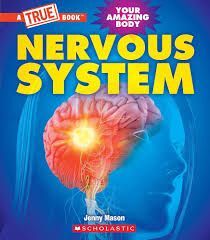 NERVOUS SYSTEM (A TRUE BOOK: YOUR AMAZING BODY)