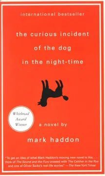 THE CURIOUS INCIDENT OF THE DOG IN THE NIGHT-TIME