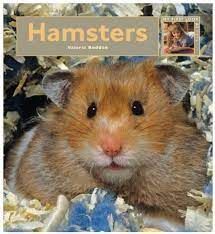 MY FIRST LOOK AT: HAMSTERS PB