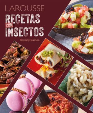 RECETAS CON INSECTOS