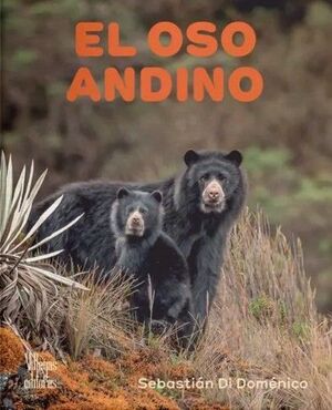 EL OSO ANDINO