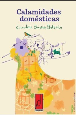 CALAMIDADES DOMÉSTICAS