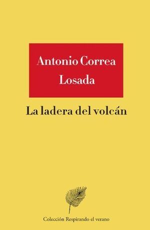 LA LADERA DEL VOLCÁN