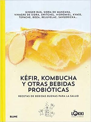 KEFIR, KOMBUCHA Y OTRAS BEBIDAS PROBIOTICAS: RECETAS DE BEBIDAS BUENAS PARA LA SALUD