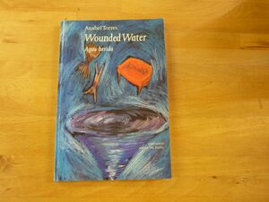 WOUNDED WATER: AGUA HERIDA: A BILINGUAL VERSION (SPANISH EDITION)