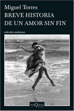 BREVE HISTORIA DE UN AMOR SIN FIN