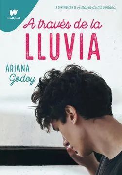 5. A TRAVÉS DE LA LLUVIA -WP