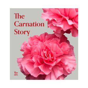 THE CARNATION STORY