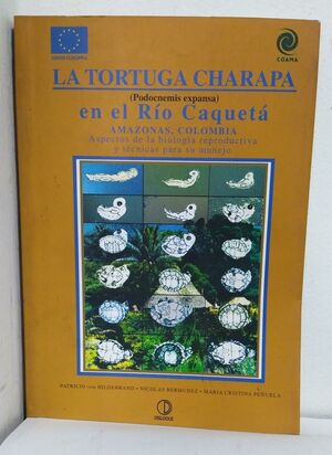 LA TORTUGA CHARAPA EN EL RÍO CAQUETÁ AMAZONAS, COLOMBIA