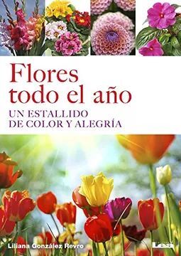 FLORES TODO EL AÑO