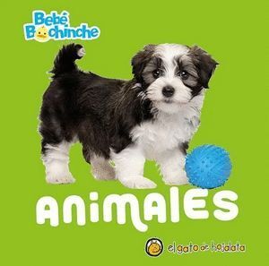 BEBÉ BOCHINCHE. ANIMALES